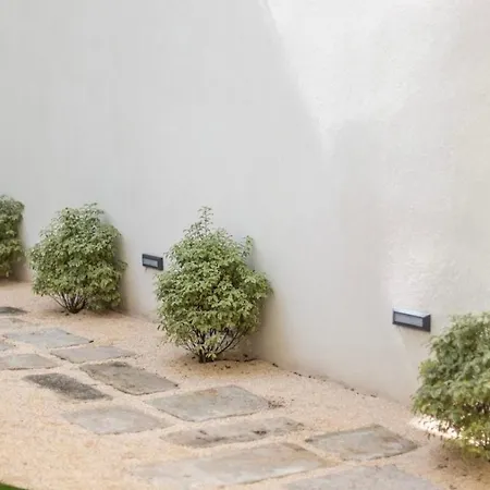 Charmhouse Garden Downtown 
